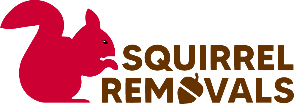 Squirrel Removals